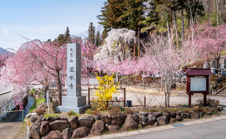 さなださくら樹木葬霊園