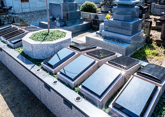 わかほ善法寺樹木葬霊園｜やすらぎあん樹木葬