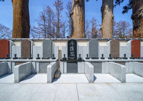 正安寺「やすらぎ」墓苑｜やすらぎあん樹木葬