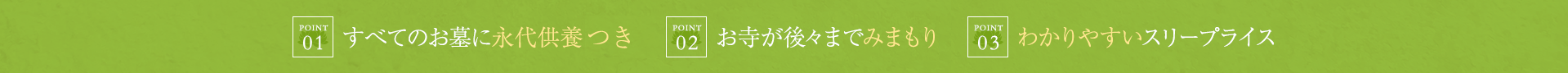 （01）すべてのお墓に永代供養つき（02）お寺が後々までみまもり（3）わかりやすいスリープライス